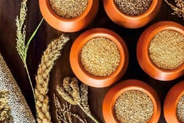 In Kerala, ‘Millet Cafes’ to come up in every district in a phased manner to popularise millets products