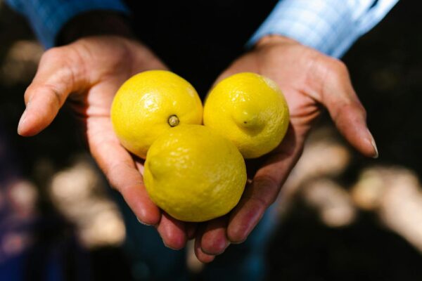 Historically, did life really just give us lemons?